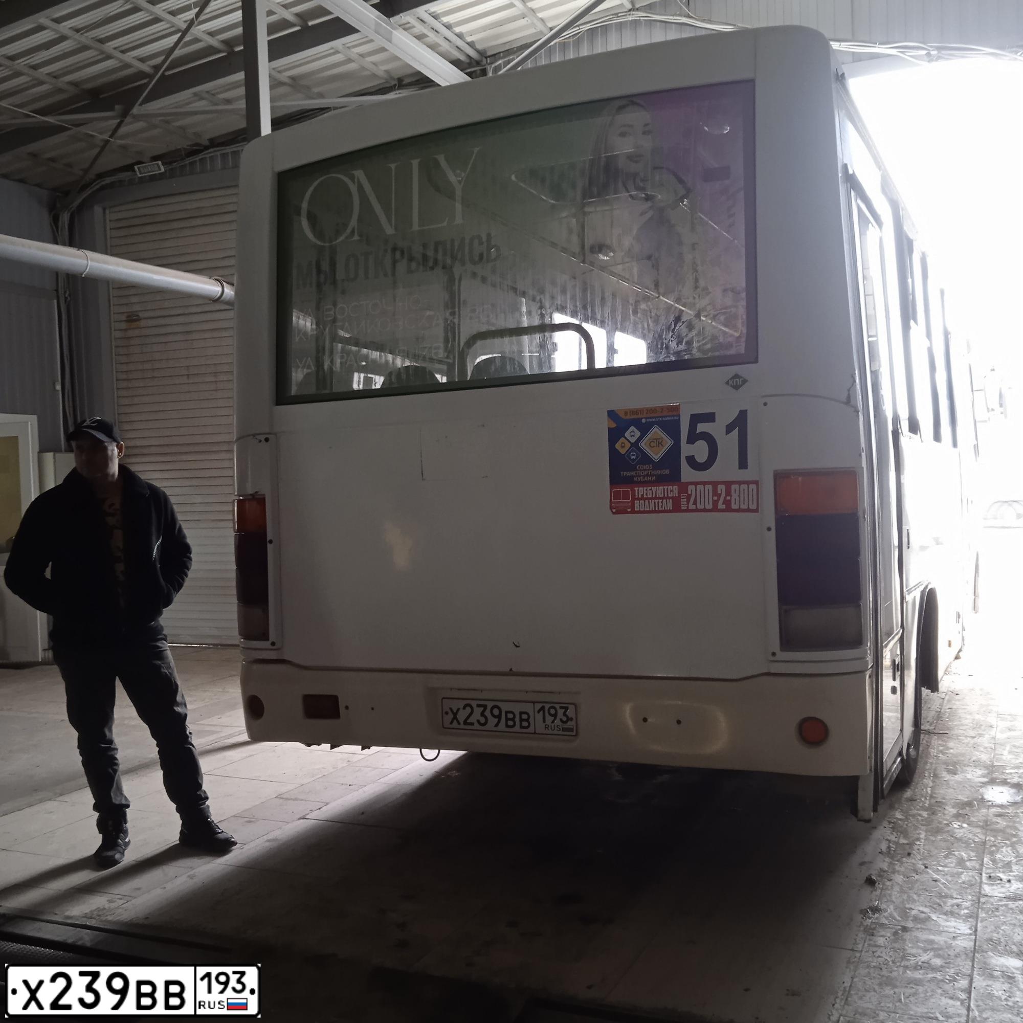 Фото автомобиля PAZ 3203, 2017 — госномер Х239ВВ193. Цвет: Белый