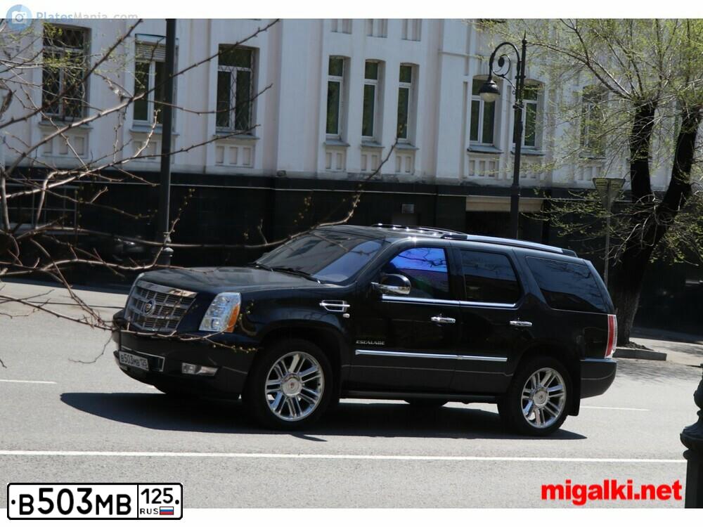 Фото автомобиля CADILLAC ESCALADE, 2013 — госномер В503МВ125. Цвет: ЧЕРНЫЙ