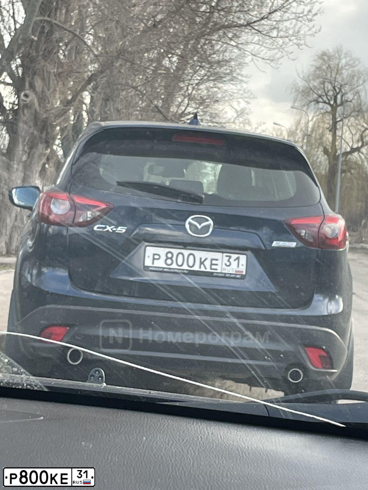 Фото автомобиля MAZDA CX-5, 2016 — госномер Р800КЕ31. Цвет: СИНИЙ