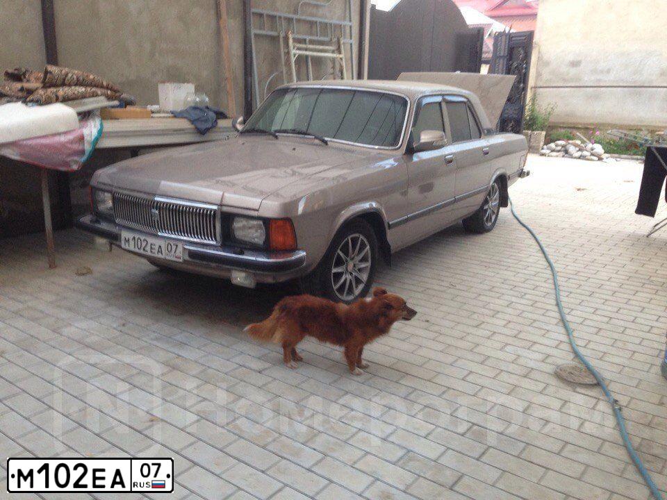 Фото автомобиля GAZ Z 3102 WOLGA, 2006 — госномер Р117ВВ136. Цвет: ЛАСВЕГАС