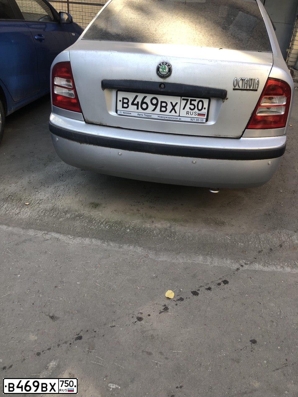 Фото автомобиля SKODA OCTAVIA, 2008 — госномер В469ВХ750. Цвет: Серый