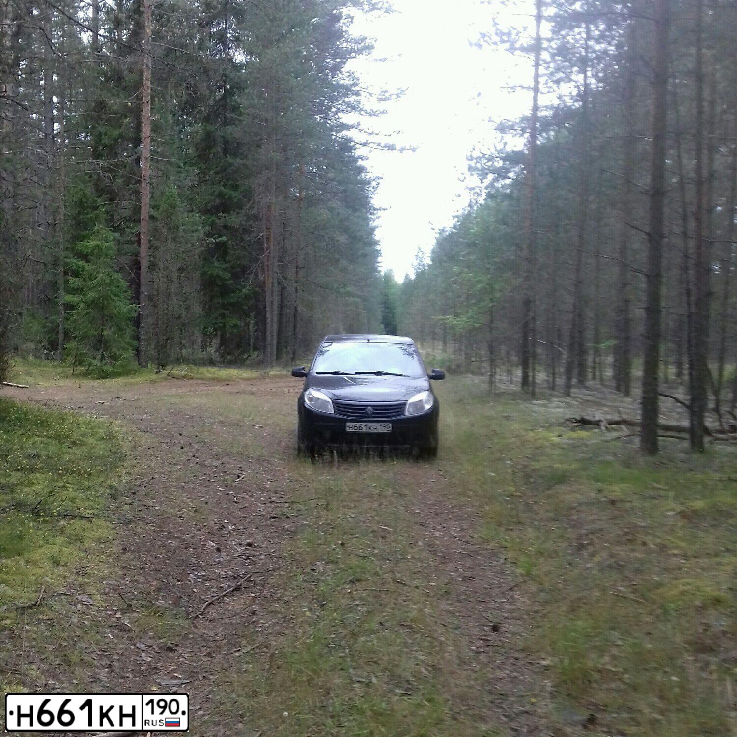 Фото автомобиля RENAULT SANDERO, 2010 — госномер К314ЕР134. Цвет: ЧЕРНЫЙ