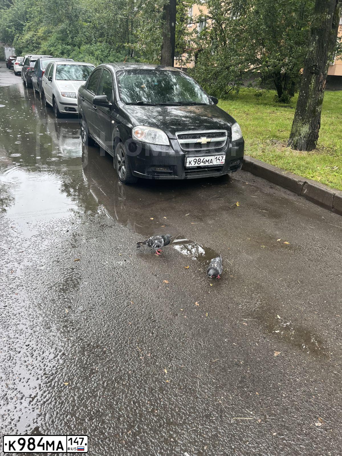 Фото автомобиля CHEVROLET AVEO, 2008 — госномер К984МА147. Цвет: ЧЕРНЫЙ