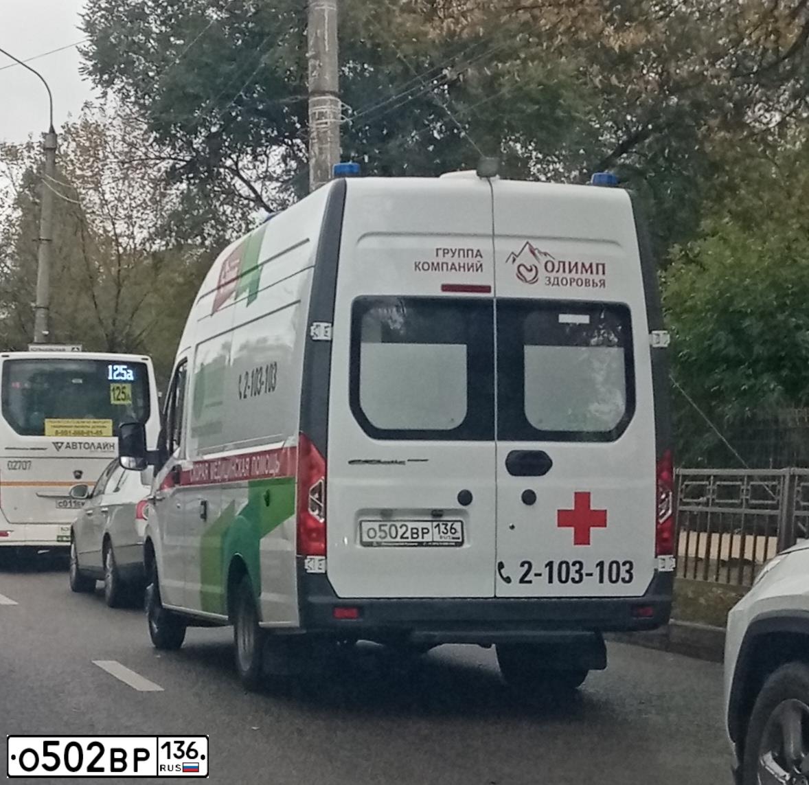 Фото автомобиля GAZ GAZEL NEXT, 2019 — госномер О502ВР136. Цвет: ГОСТ Р50574-2019