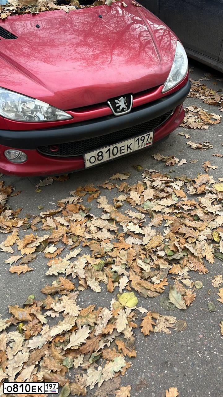 Фото автомобиля PEUGEOT 206, 2008 — госномер О810ЕК197. Цвет: КРАСНЫЙ
