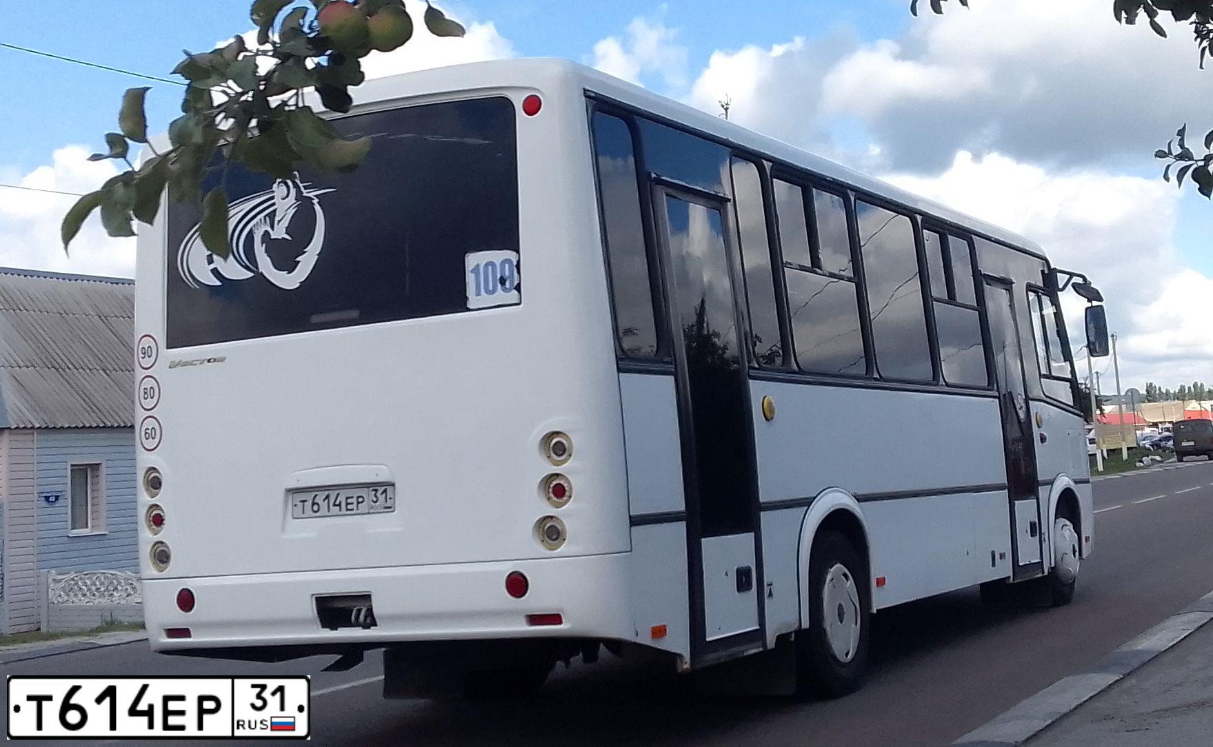 Фото автомобиля PAZ 3204, 2016 — госномер Т614ЕР31. Цвет: БЕЛЫЙ