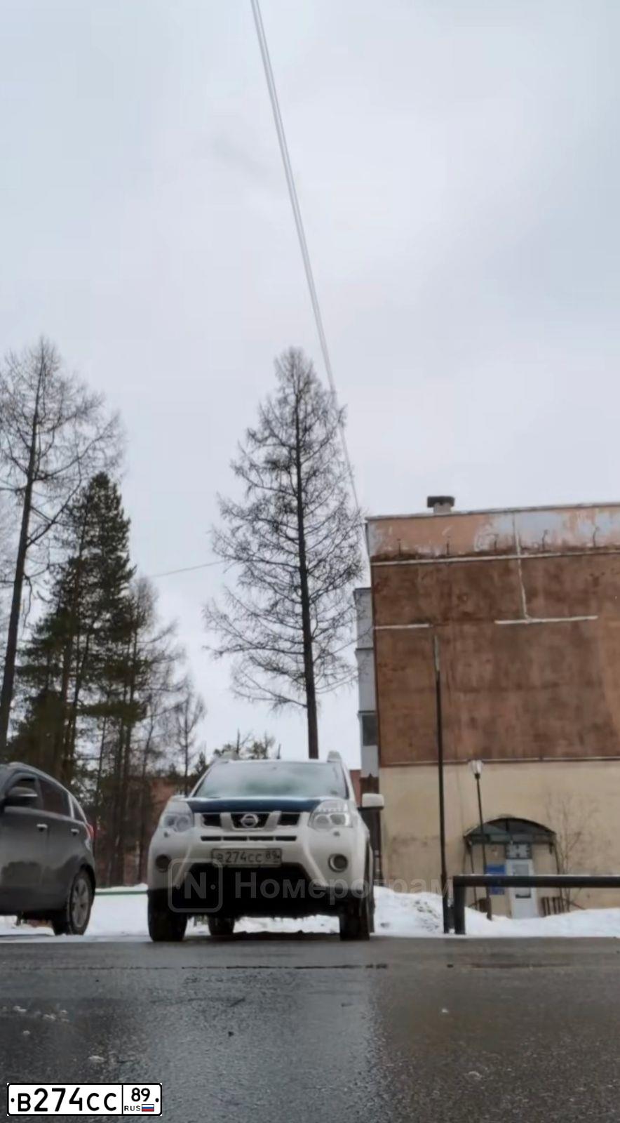 Фото автомобиля NISSAN X-TRAIL, 2013 — госномер С069ТТ89. Цвет: БЕЛЫЙ