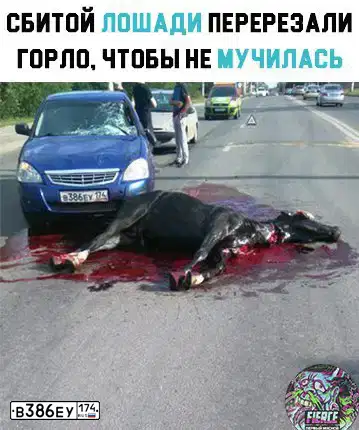 Фото автомобиля LADA 217030 ЛАДА ПРИОРА, 2010 — госномер К768ЕО702. Цвет: синий