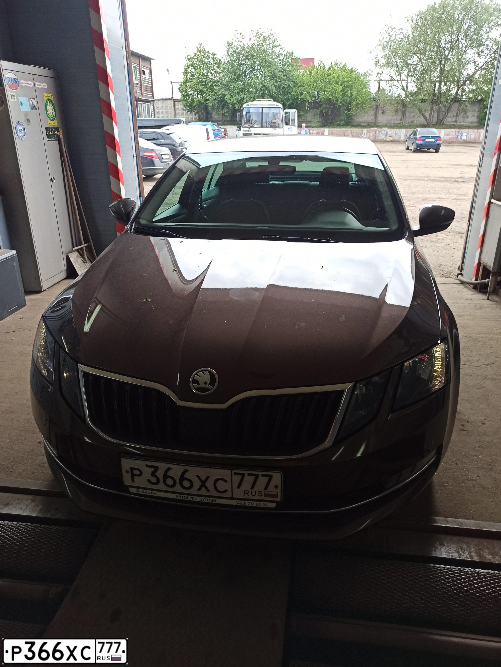 Фото автомобиля SKODA OCTAVIA, 2017 — госномер Р366ХС777. Цвет: Коричневый