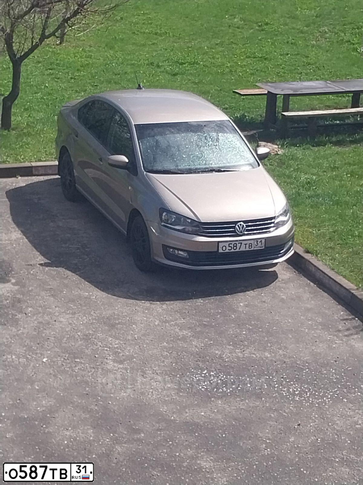 Фото автомобиля HYUNDAI SOLARIS, 2011 — госномер Р181ХВ31. Цвет: ФИОЛЕТОВЫЙ