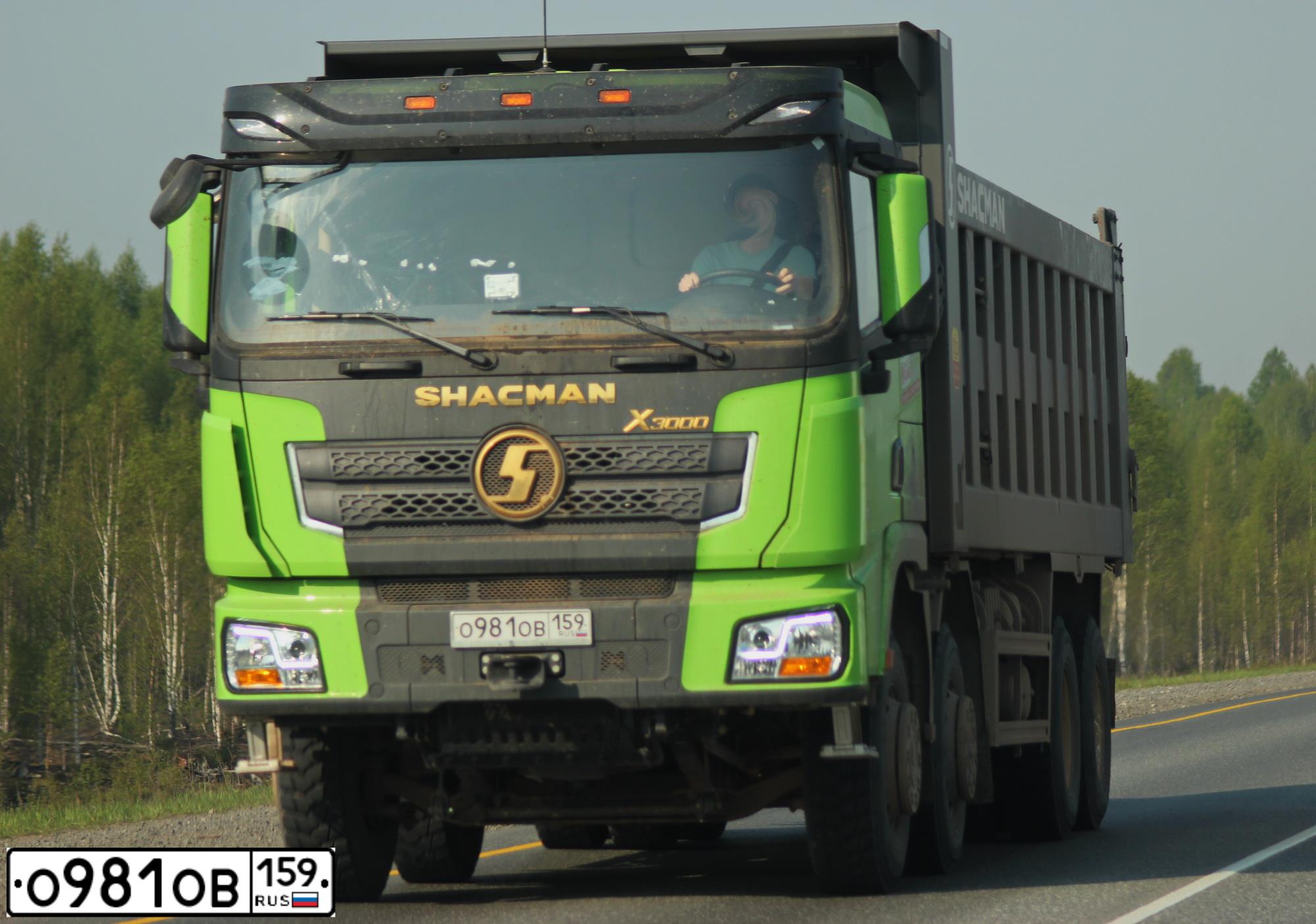 Фото автомобиля SHACMAN SX33186V366, 2022 — госномер О981ОВ159. Цвет: ЗЕЛЕНЫЙ