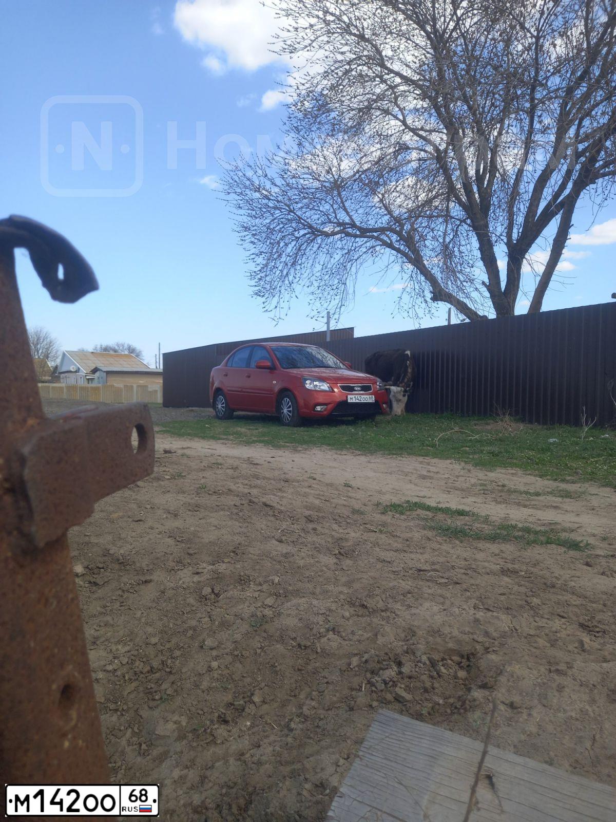 Фото автомобиля KIA RIO, 2010 — госномер М021ТЕ164. Цвет: КРАСНЫЙ