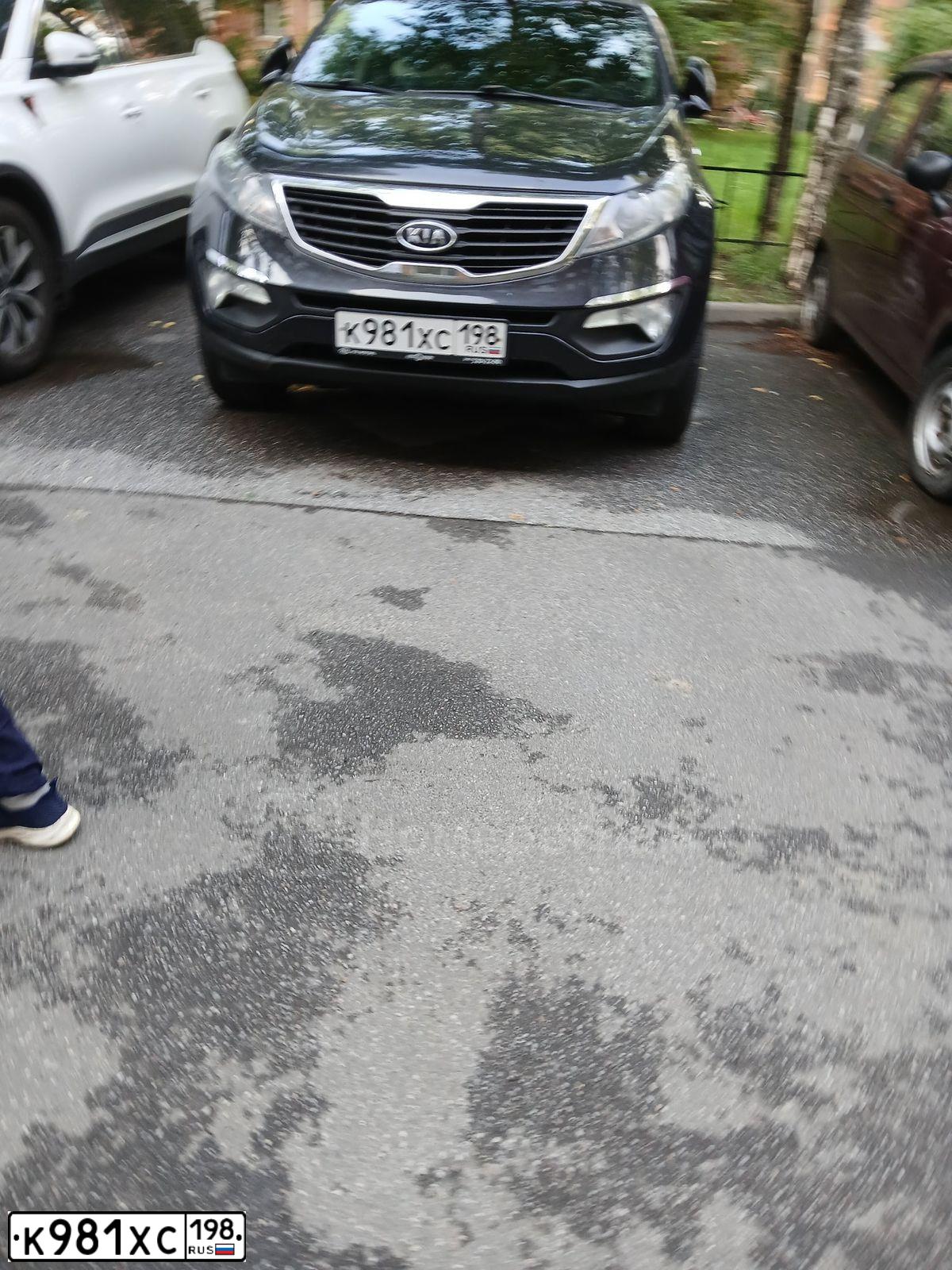 Фото автомобиля KIA SPORTAGE, 2012 — госномер К981ХС198. Цвет: ЧЕРНЫЙ ПЕРЛАМУТР