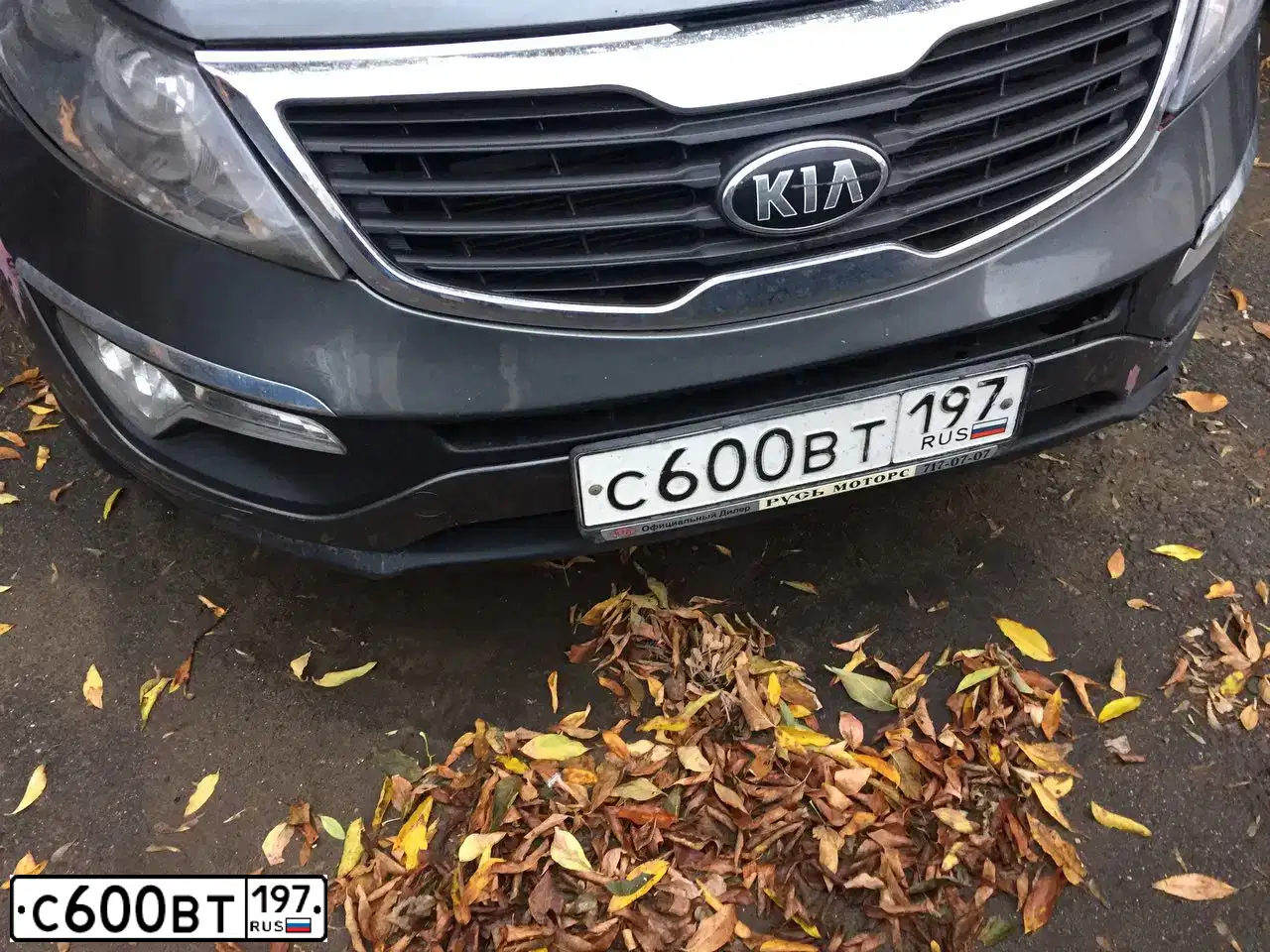 Фото автомобиля KIA SPORTAGE, 2010 — госномер С600ВТ197. Цвет: СТАЛЬНОЙ