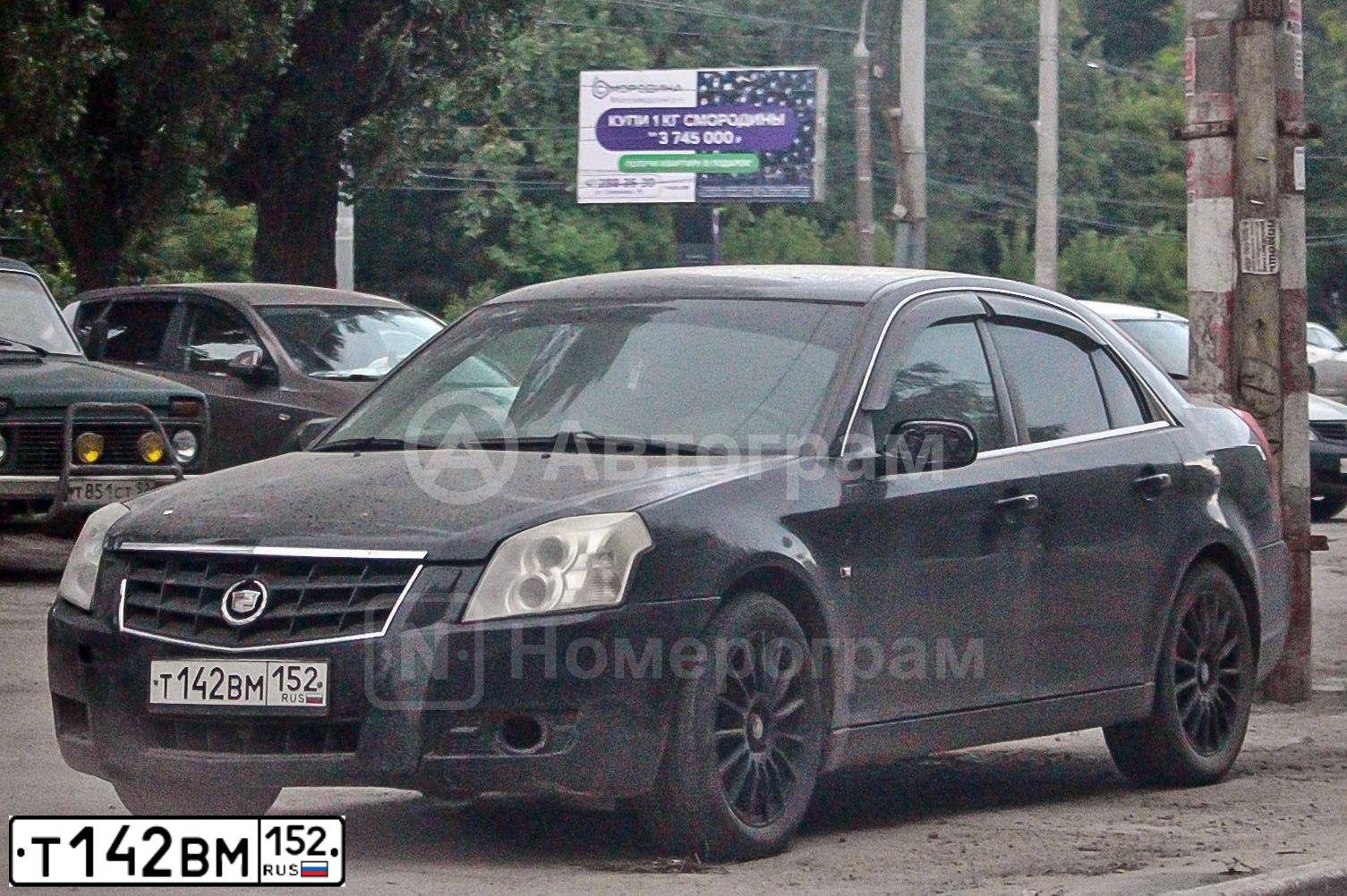 Фото автомобиля CADILLAC BLS, 2006 — госномер У988ЕВ152. Цвет: ЧЕРНЫЙ