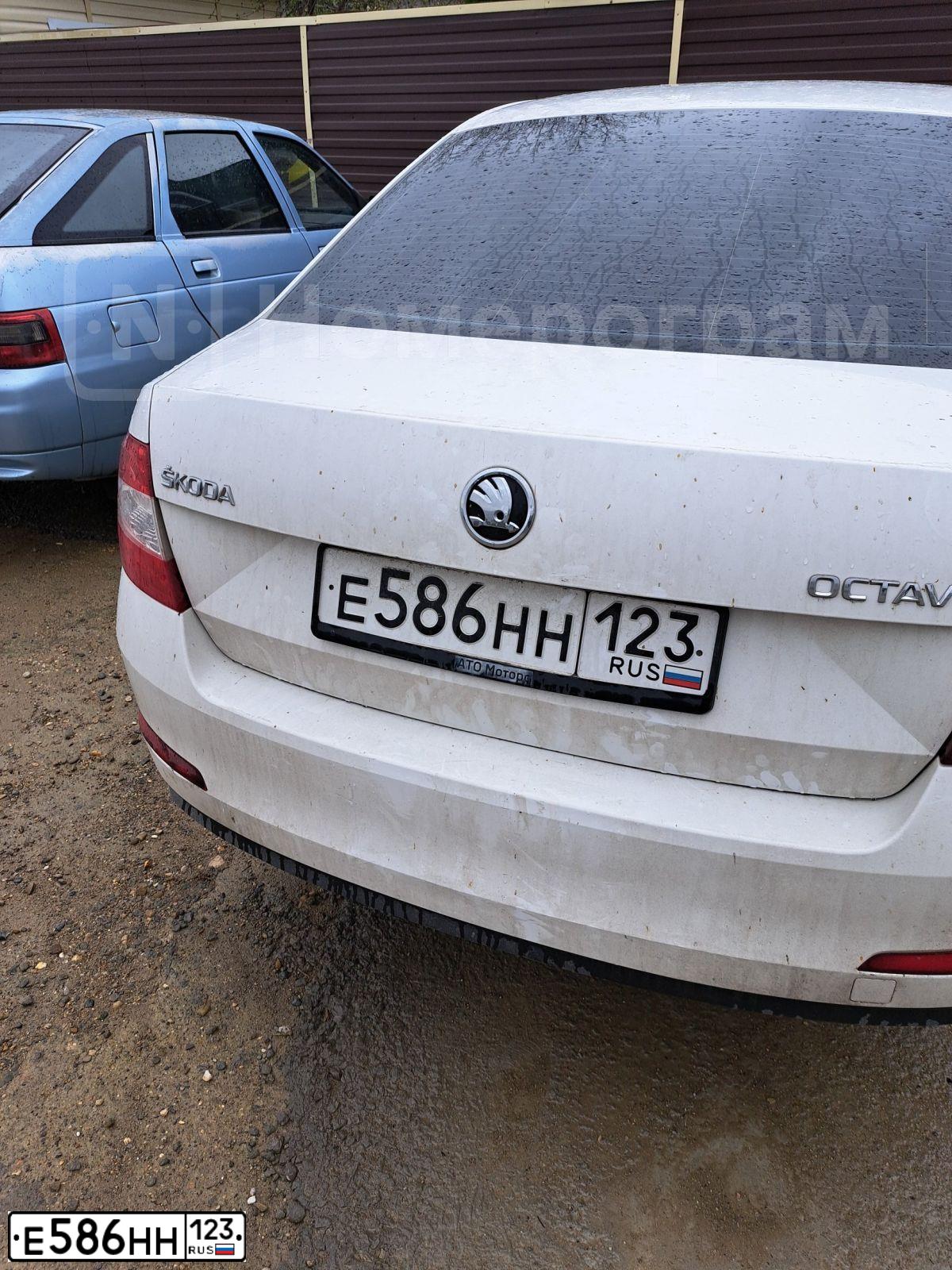 Фото автомобиля SKODA OCTAVIA, 2013 — госномер Е586НН123. Цвет: Белый