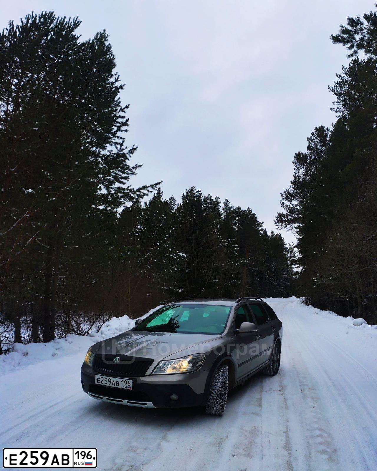Фото автомобиля SKODA OCTAVIA, 2011 — госномер Х196ВТ196