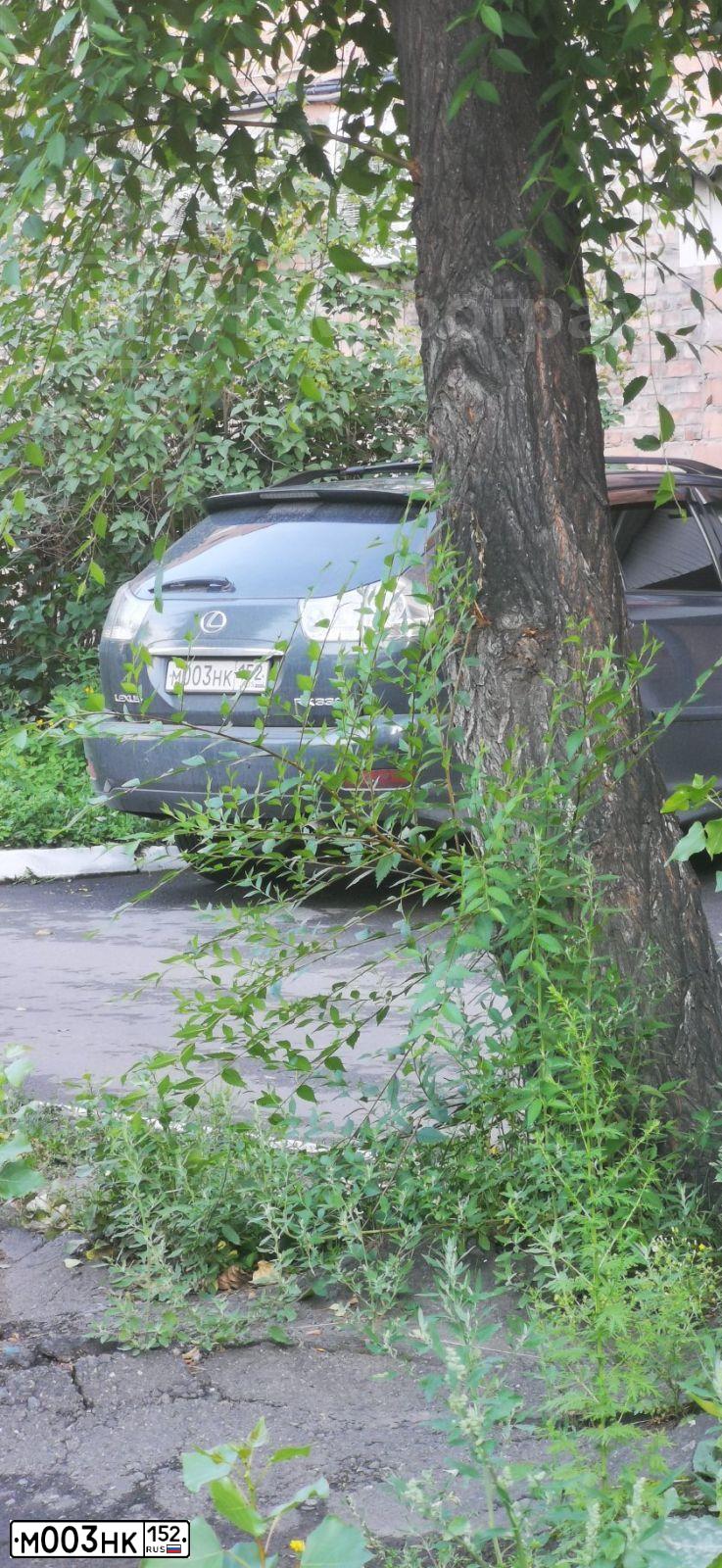 Фото автомобиля LEXUS RX, 2005 — госномер М003НК152. Цвет: ЧЕРНЫЙ