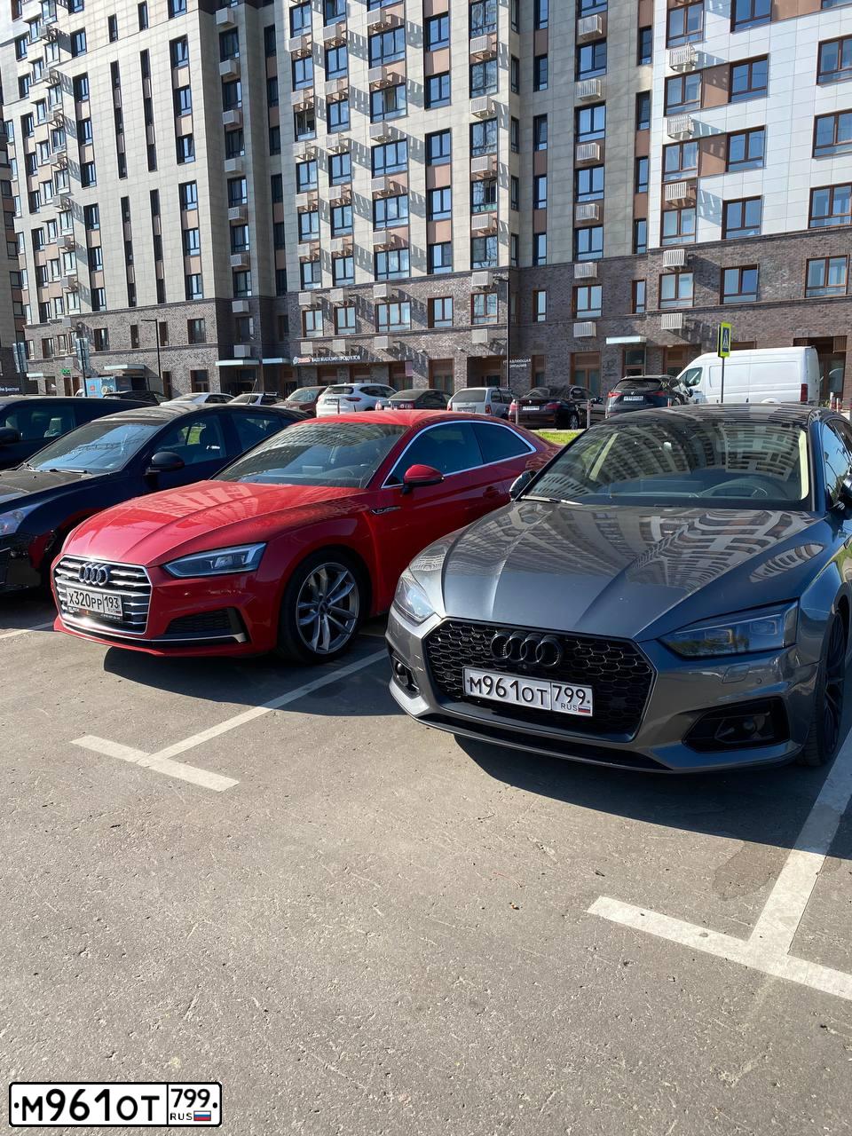 Фото автомобиля AUDI A5, 2019 — госномер М406ЕХ550. Цвет: ТЕМНО-СЕРЫЙ