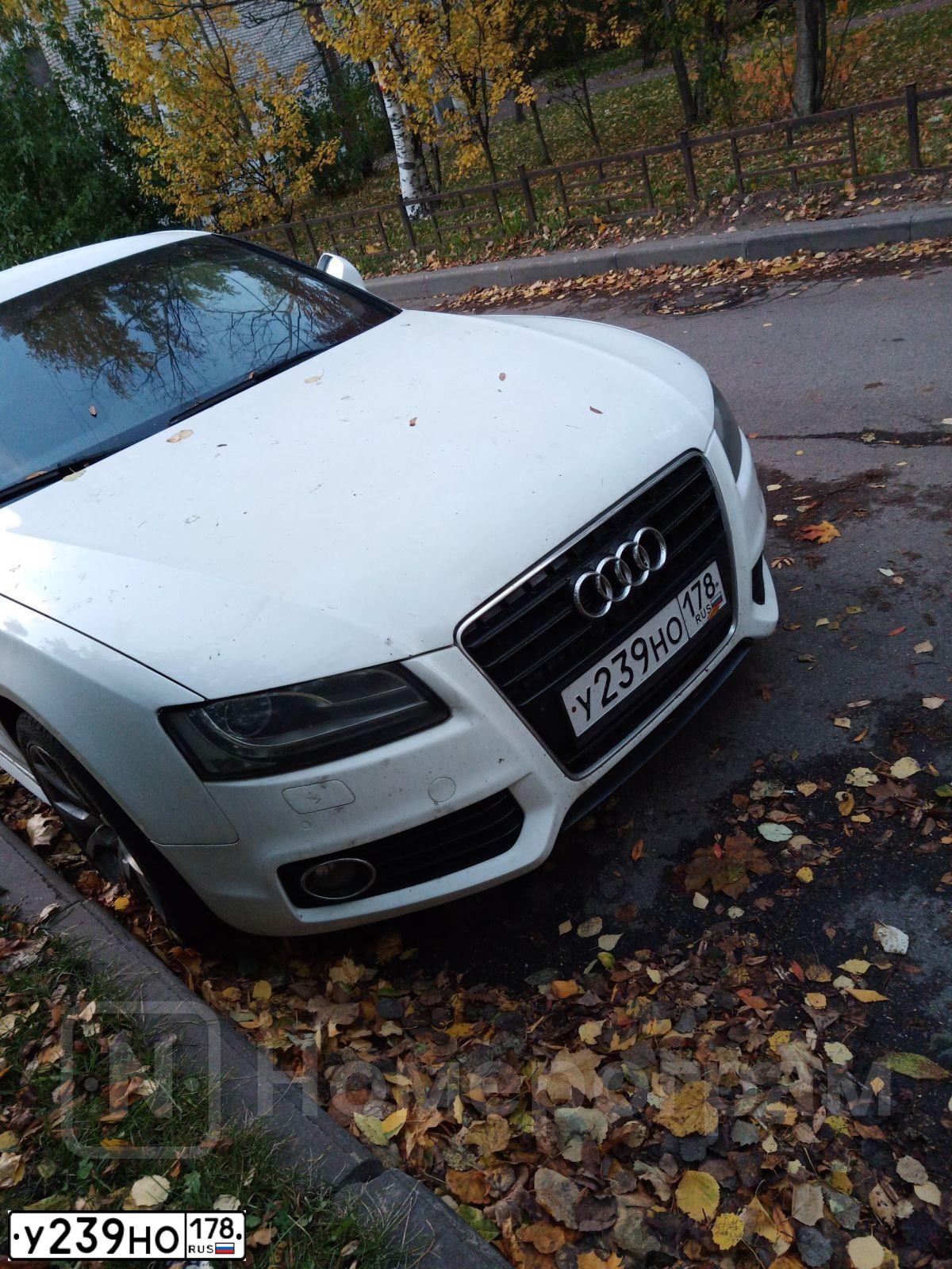 Фото автомобиля AUDI A5, 2010 — госномер У239НО178. Цвет: БЕЛЫЙ