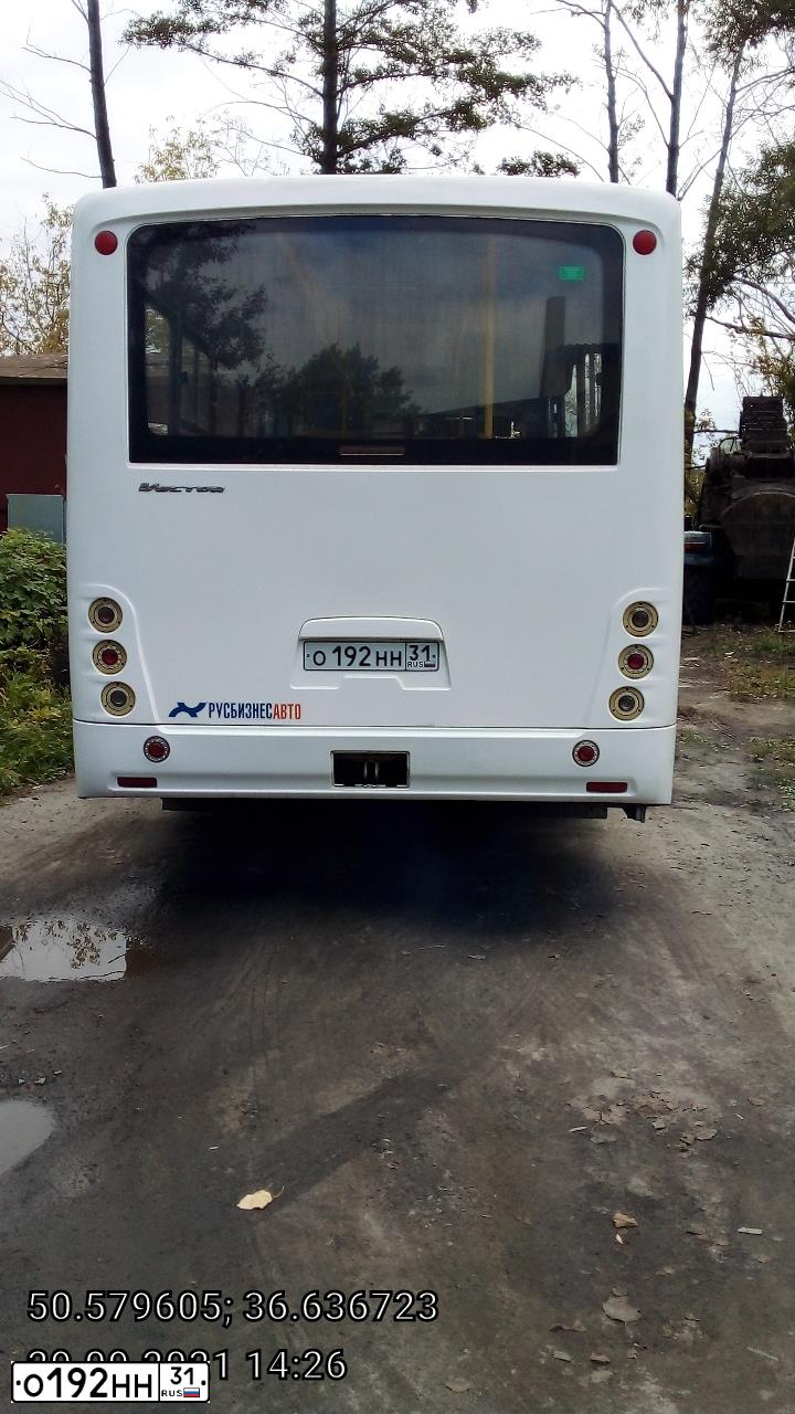 Фото автомобиля PAZ 3204, 2017 — госномер О192НН31. Цвет: Белый