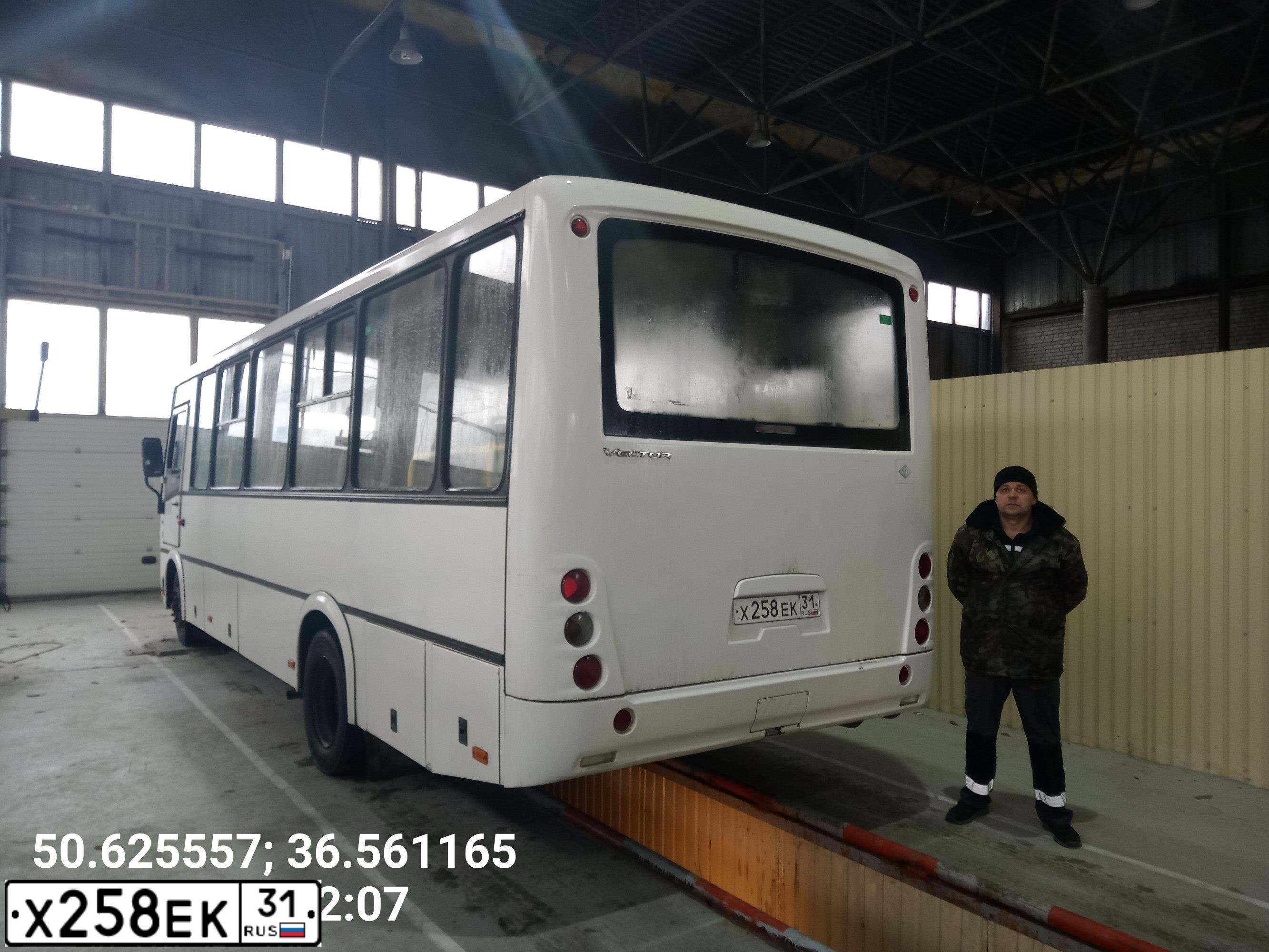 Фото автомобиля PAZ 3204, 2018 — госномер Х258ЕК31. Цвет: Белый