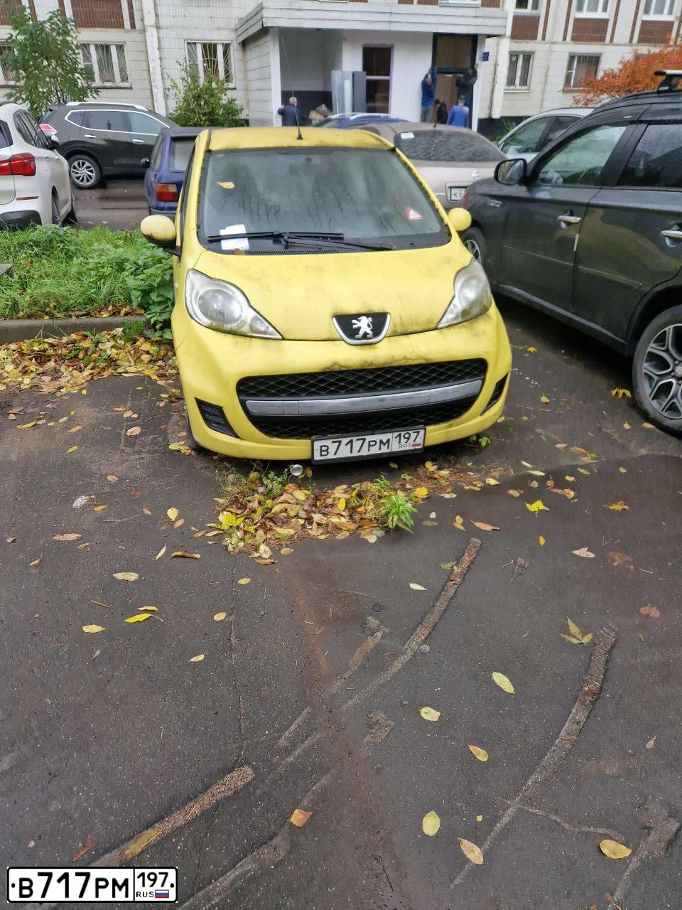 Фото автомобиля PEUGEOT 107, 2011 — госномер В717РМ197. Цвет: ЖЕЛТЫЙ