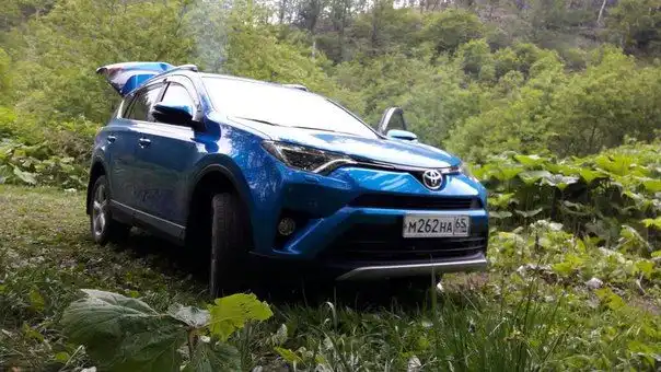 Фото автомобиля TOYOTA FORTUNER, 2019 — госномер М262НА65. Цвет: СИНИЙ