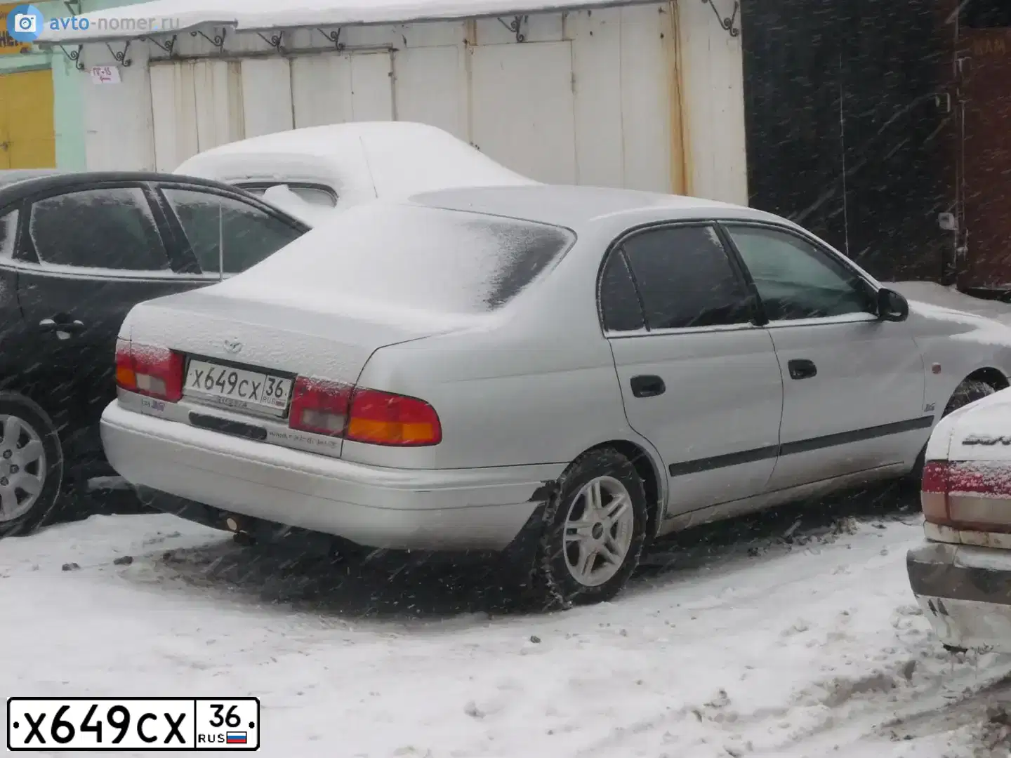 Фото автомобиля TOYOTA CARINA, 1996 — госномер Р116КА36. Цвет: СЕРЕБРИСТЫЙ