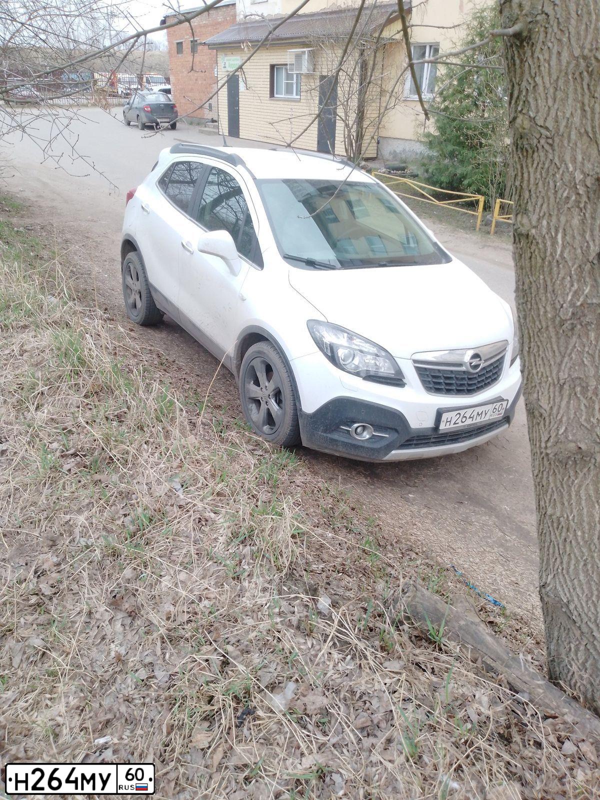 Фото автомобиля OPEL МОККА, 2013 — госномер Р751ОО68. Цвет: Белый