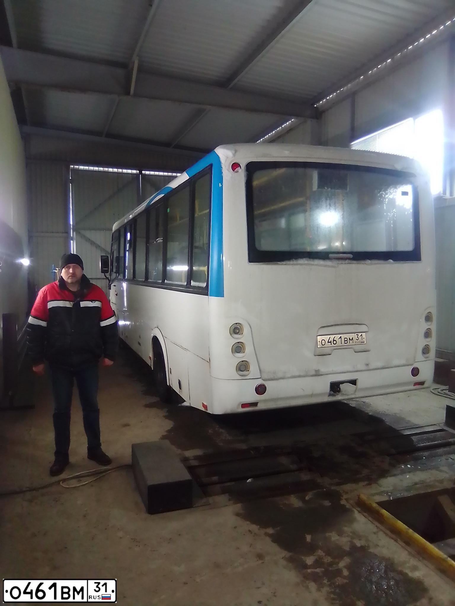 Фото автомобиля PAZ 3204, 2015 — госномер О461ВМ31. Цвет: БЕЛЫЙ