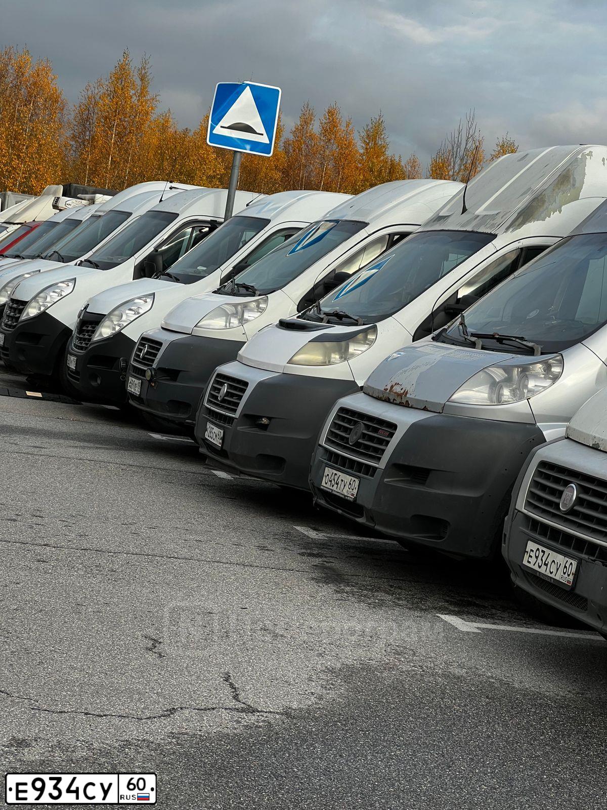 Фото автомобиля FIAT DUCATO, 2014 — госномер Е934СУ60. Цвет: Белый