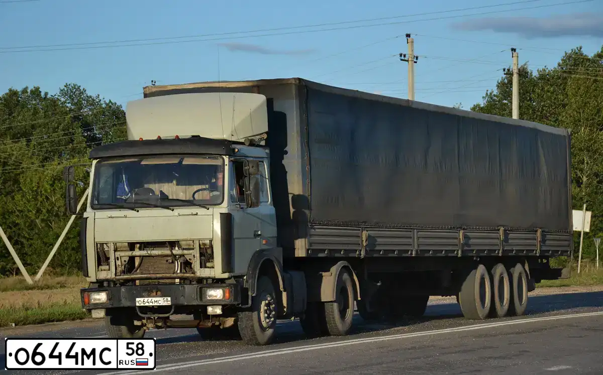 Фото автомобиля MAZ Z 5432 4X2, 2003 — госномер Р193МР58. Цвет: БЕЛЫЙ (СЕРЫЙ)