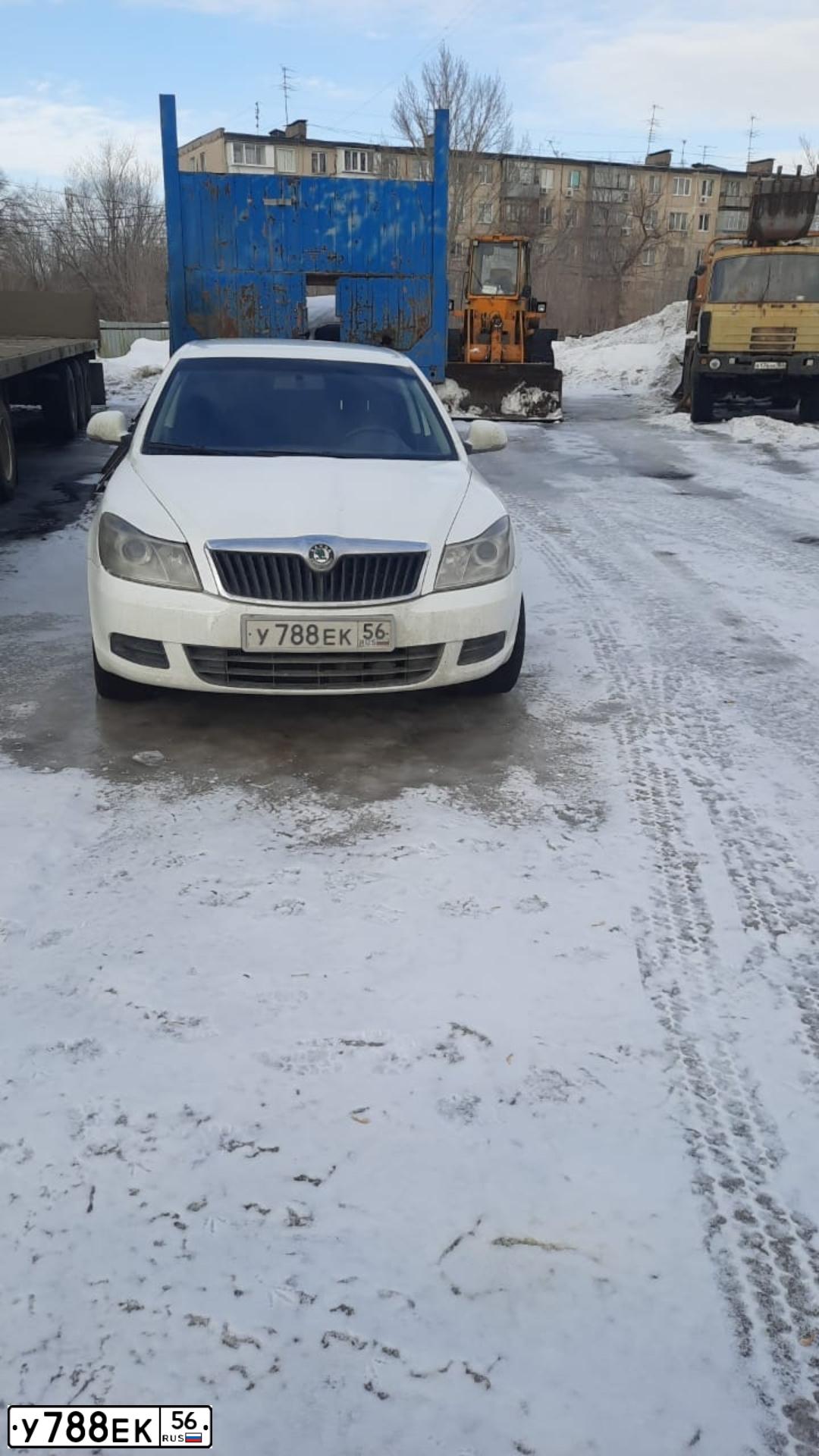 Фото автомобиля SKODA OCTAVIA, 2013 — госномер У133КВ56. Цвет: Белый
