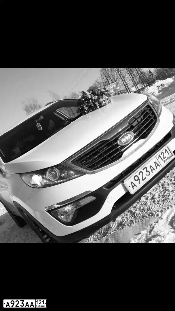 Фото автомобиля KIA SPORTAGE, 2011 — госномер Т443ВО550. Цвет: Белый
