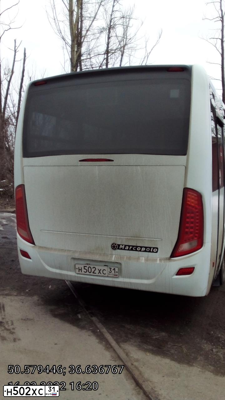 Фото автомобиля NEFAZ Z 3297 MARCOPOLO, 2013 — госномер Н502ХС31. Цвет: Белый