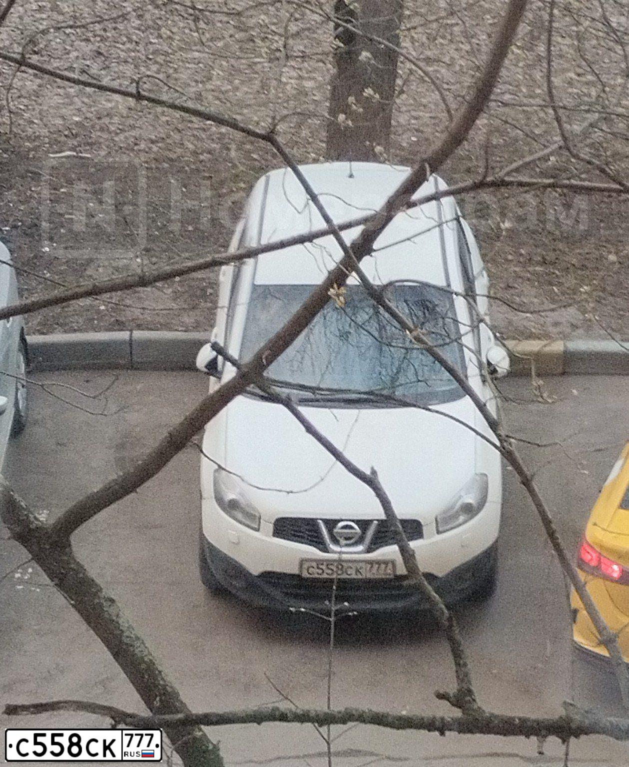 Фото автомобиля NISSAN QASHQAI, 2011 — госномер С558СК777. Цвет: БЕЛЫЙ