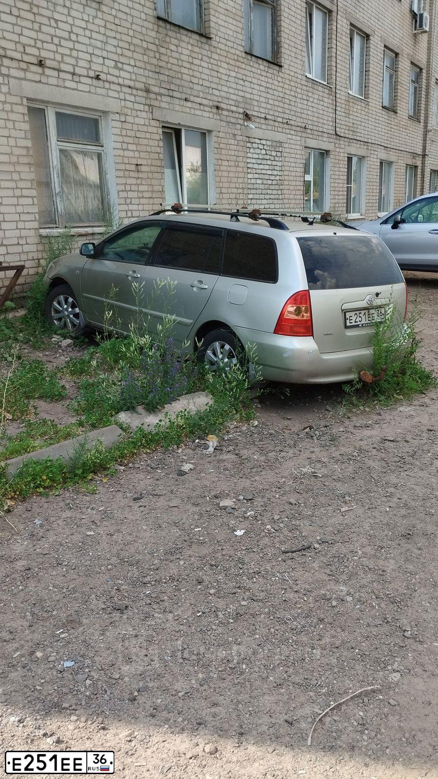 Фото автомобиля TOYOTA COROLLA, 2004 — госномер Е251ЕЕ36. Цвет: СЕРЕБРИСТЫЙ