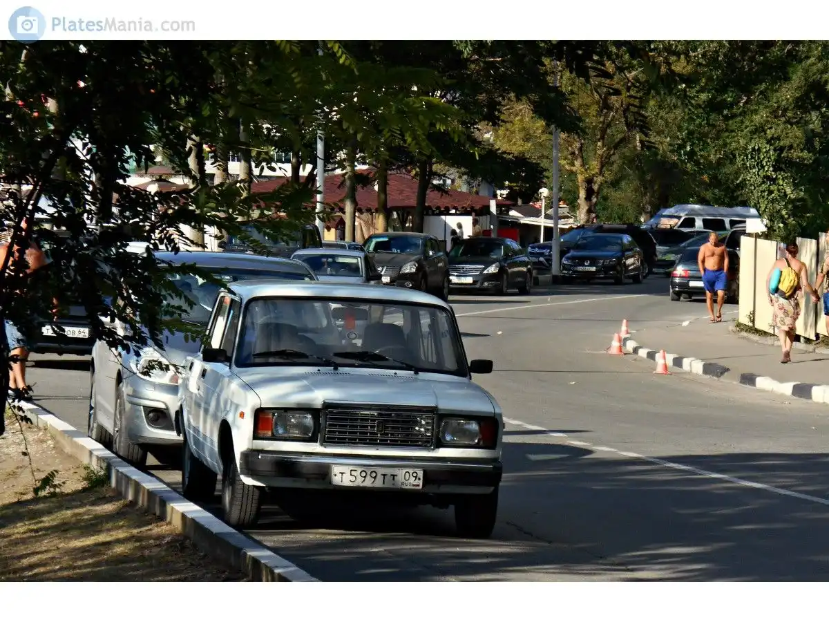 Фото автомобиля GAZ Z 3102 WOLGA, 1996 — госномер Т599ТТ09