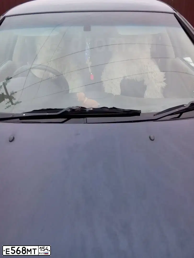 Фото автомобиля NISSAN SUNNY, 2003 — госномер Е568МТ154. Цвет: СИНИЙ