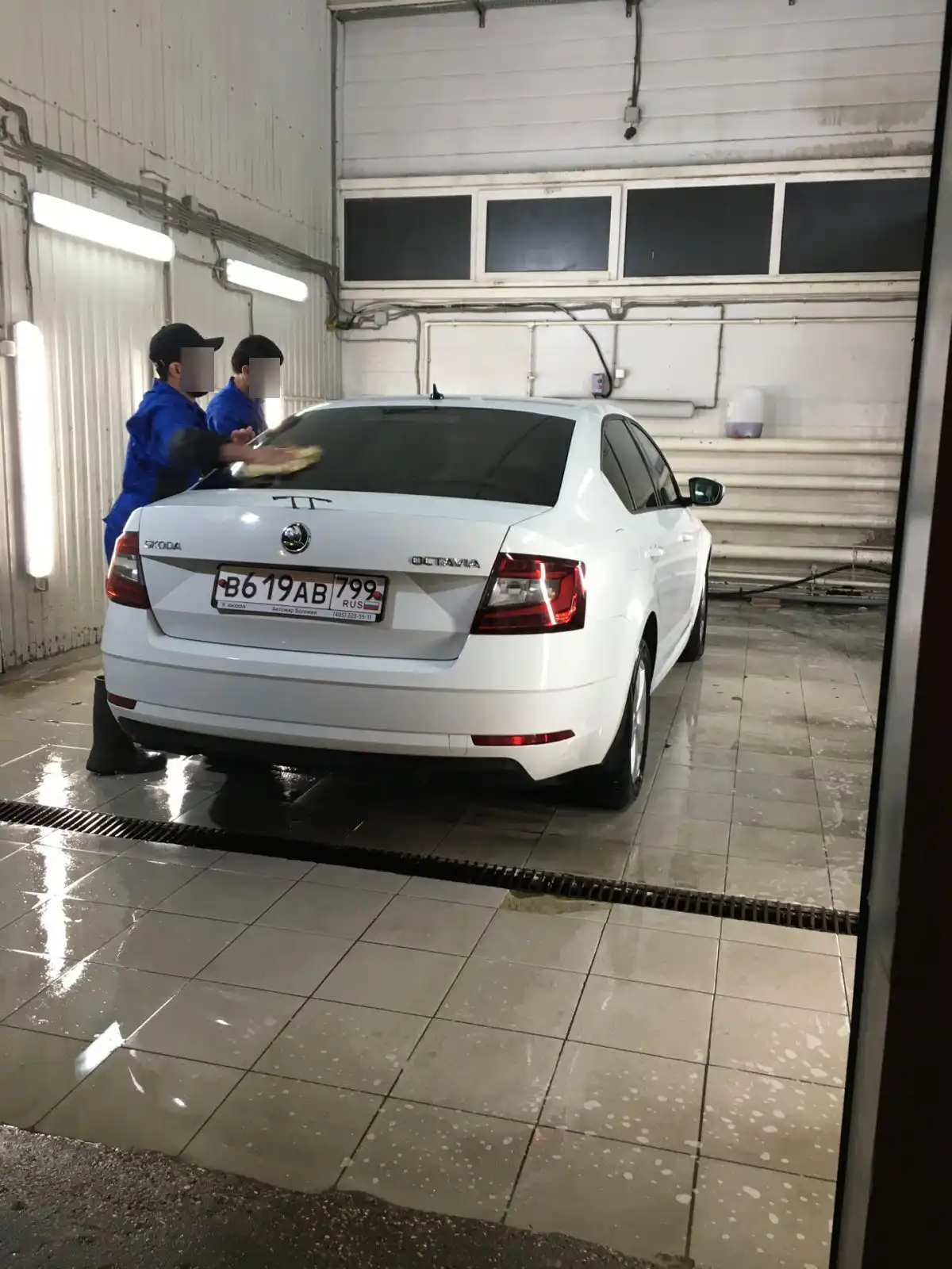 Фото автомобиля SKODA OCTAVIA, 2017 — госномер В619АВ799. Цвет: БЕЛЫЙ