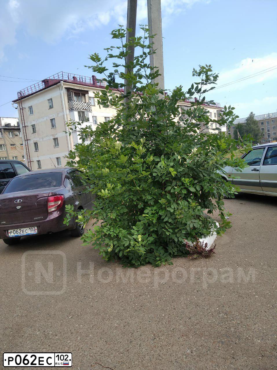 Фото автомобиля LADA GRANTA, 2013 — госномер О460ВТ702. Цвет: ТЕМНО-ВИШНЕВЫЙ