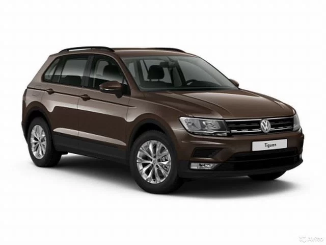 Фото автомобиля VOLKSWAGEN TIGUAN, 2020 — госномер О259ВМ790. Цвет: Коричневый