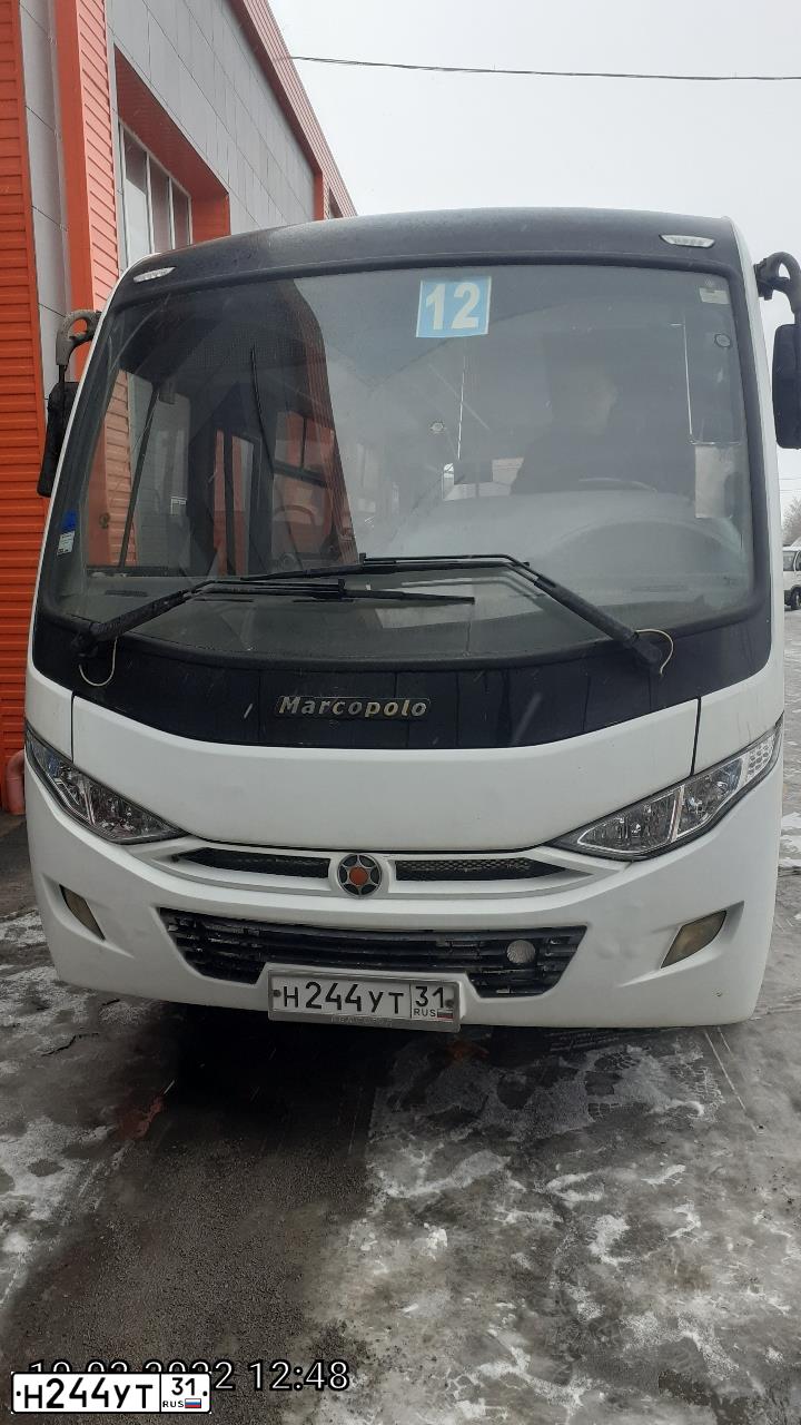 Фото автомобиля NEFAZ 3297 /MARCOPOLO/, 2013 — госномер Н244УТ31. Цвет: БЕЛЫЙ