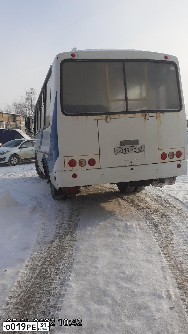 Фото автомобиля PAZ 3205, 2016 — госномер О019РЕ31. Цвет: БЕЛЫЙ