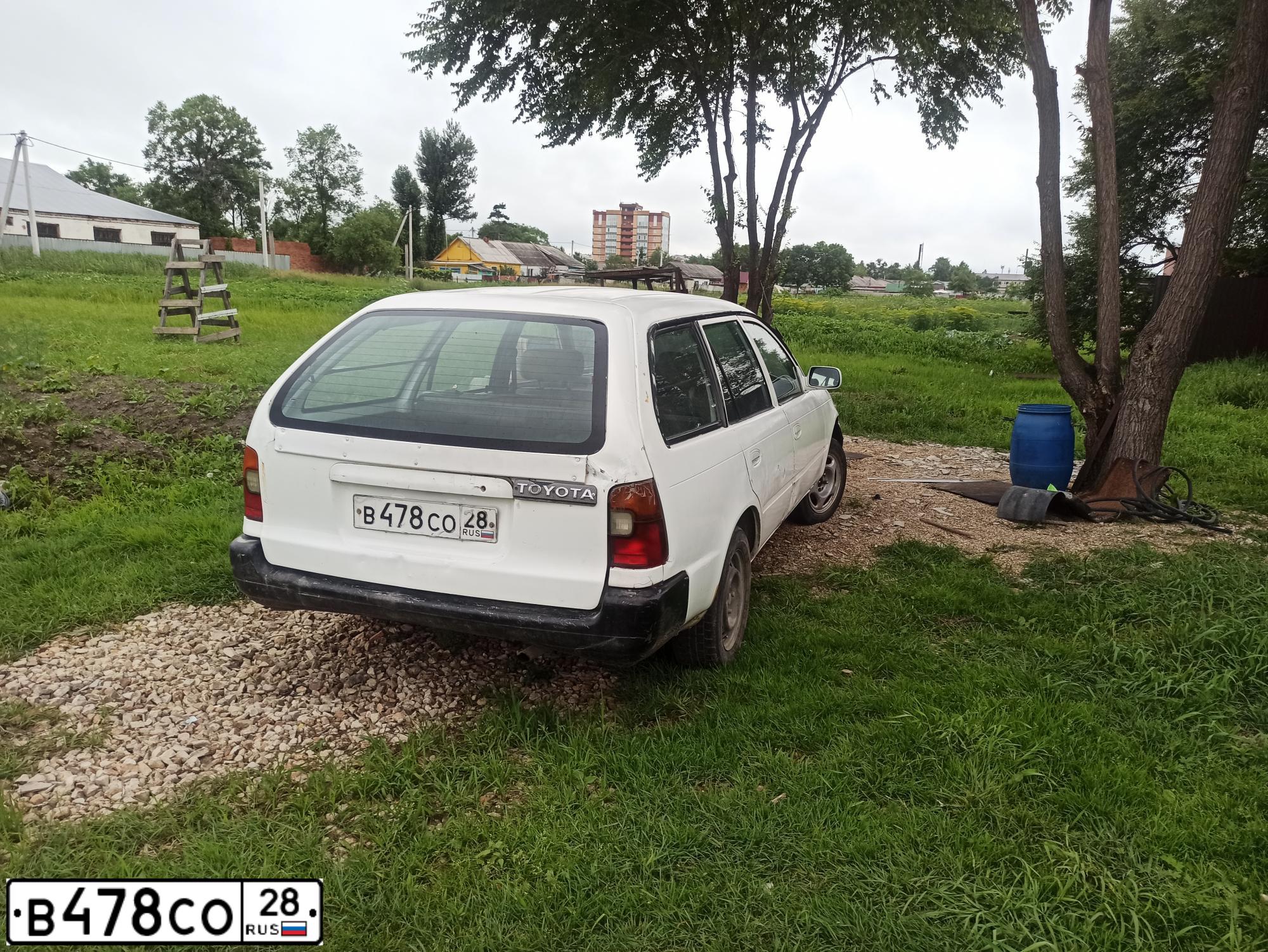 Фото автомобиля TOYOTA COROLLA, 2000 — госномер Х619ВТ65