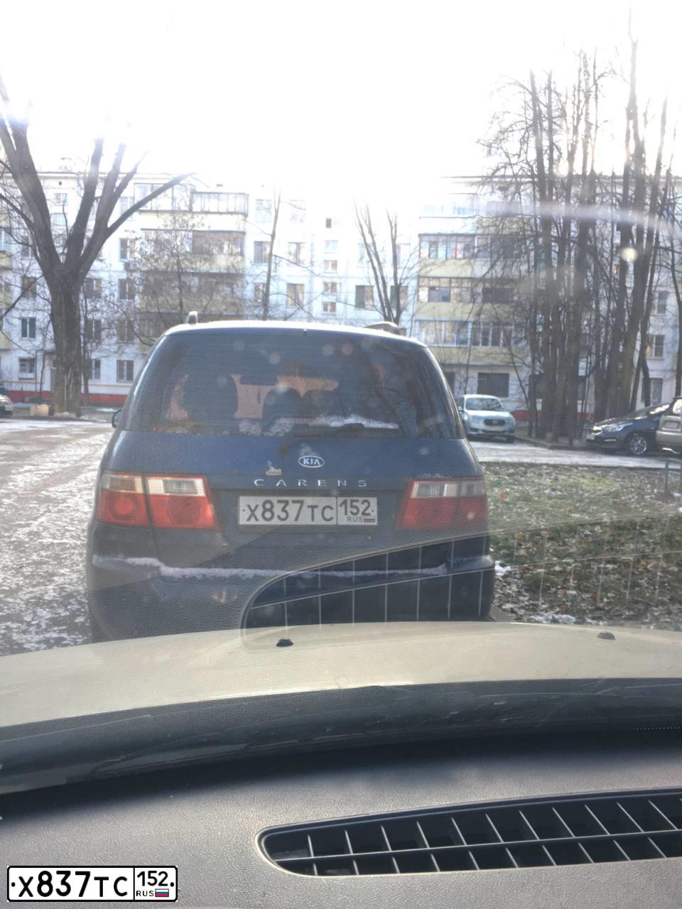 Фото автомобиля KIA CARENS, 2003 — госномер В482СХ43. Цвет: синий