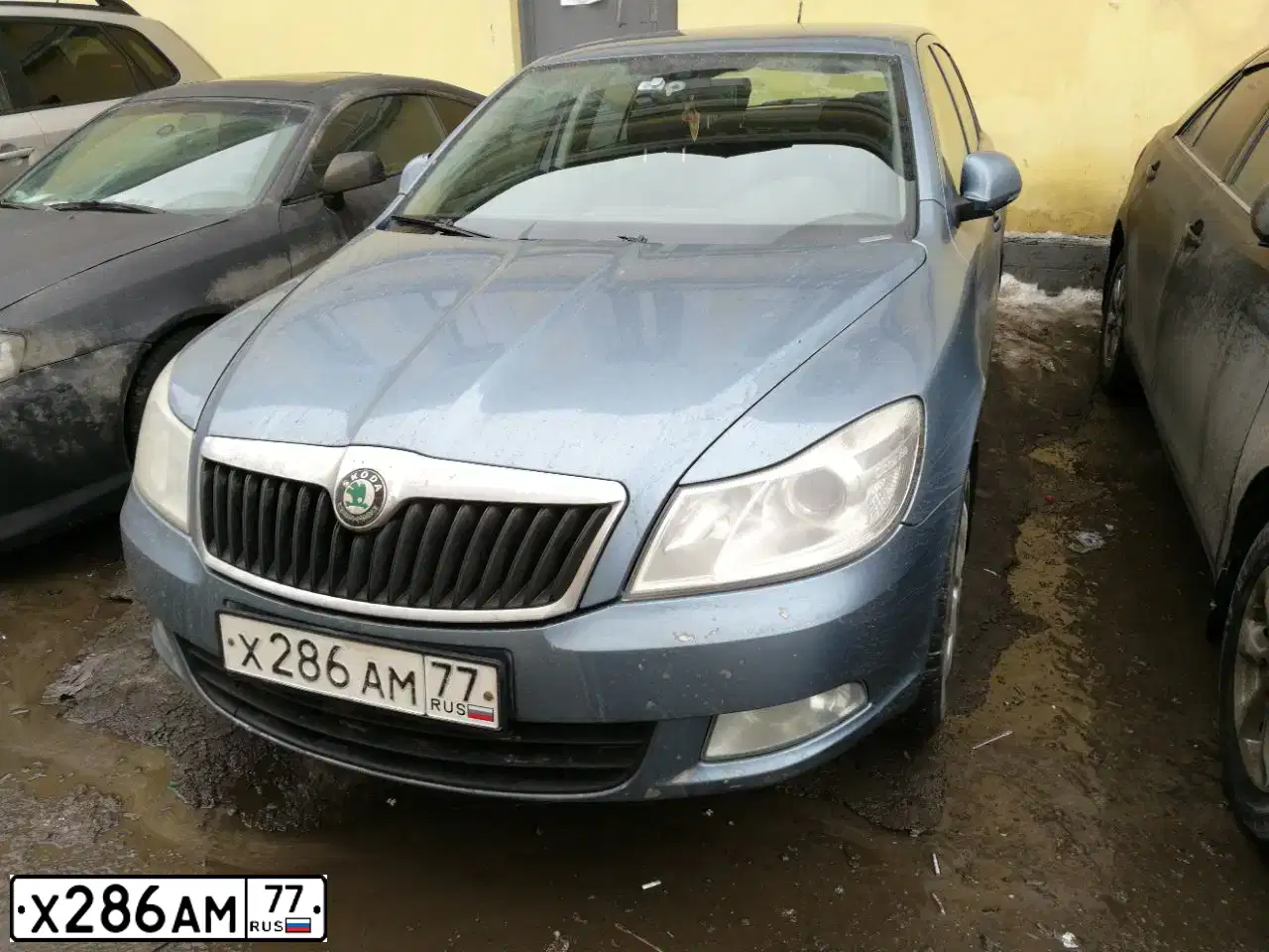 Фото автомобиля SKODA OCTAVIA, 2009 — госномер Х286АМ77. Цвет: СЕРЫЙ