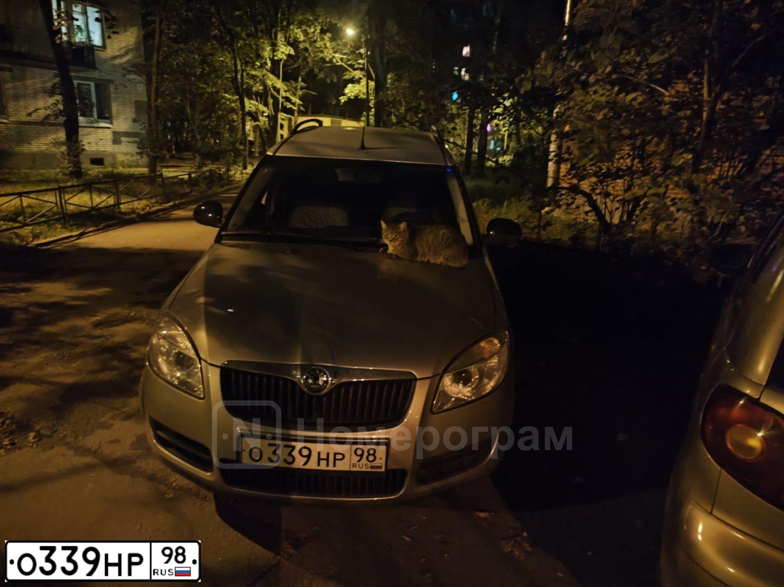 Фото автомобиля SKODA ROOMSTER, 2009 — госномер О339НР98