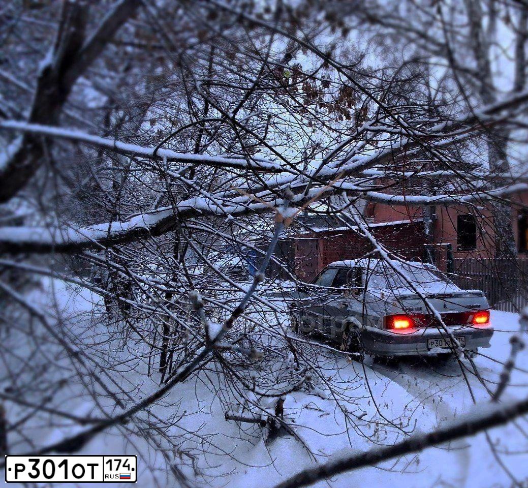 Фото автомобиля LADA 2115 SAMARA, 2004 — госномер Р301ОТ174. Цвет: СЕРЕБРИСТО-ЖЕЛТЫЙ